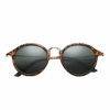 Acetate Frame Sunglasses